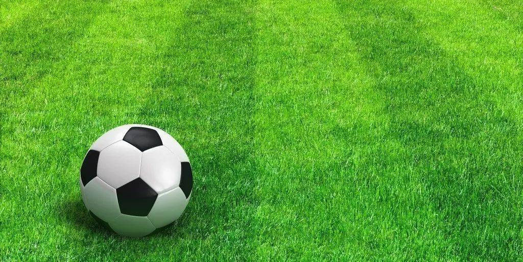 数据分析师使用即时比分数据